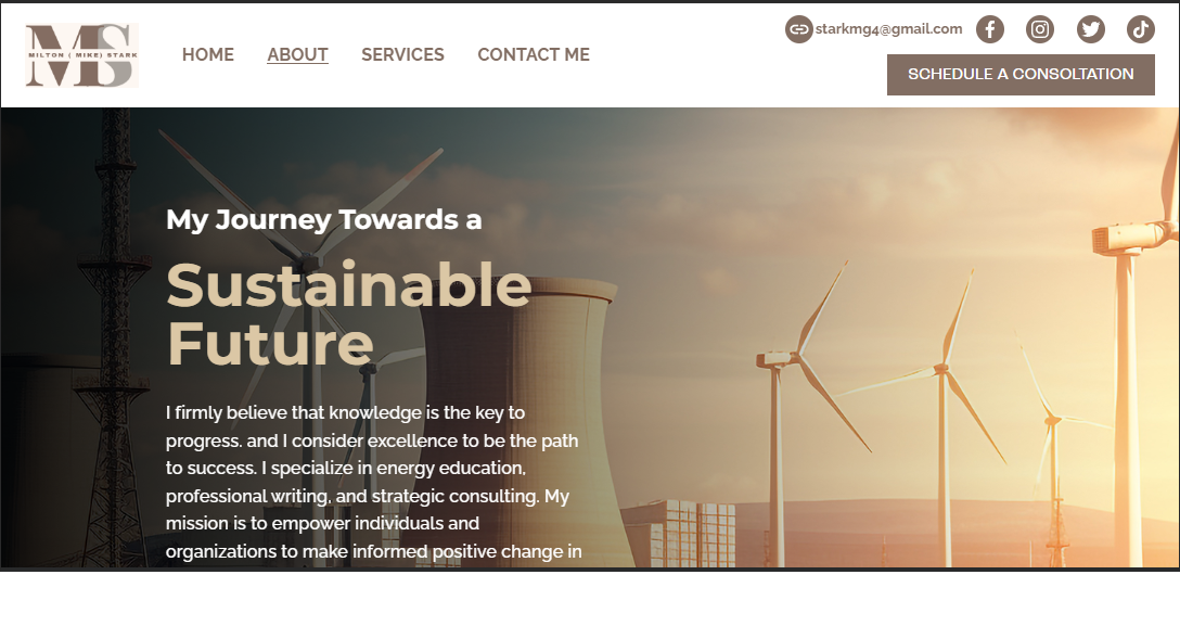 Milton Stark website screenshot